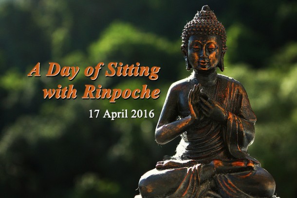 sitting_rinpoche
